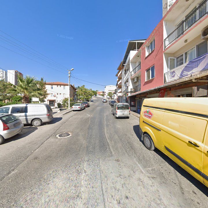 Fotoğraf 7