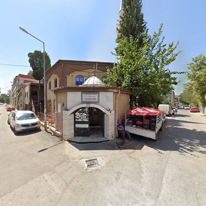 Fotoğraf 7