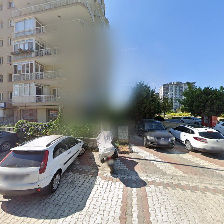 Fotoğraf 13