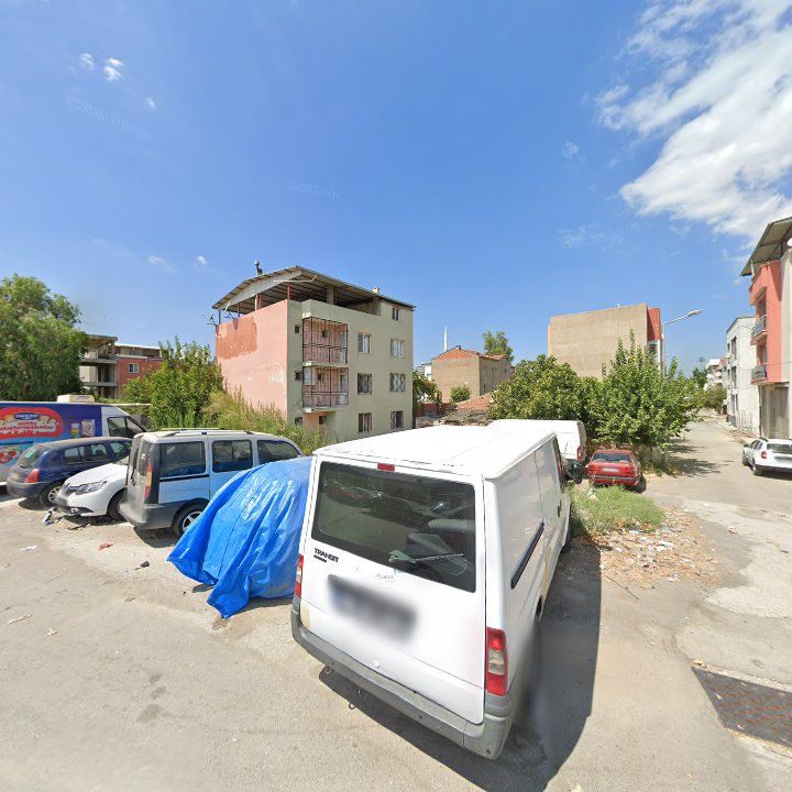 Fotoğraf 7