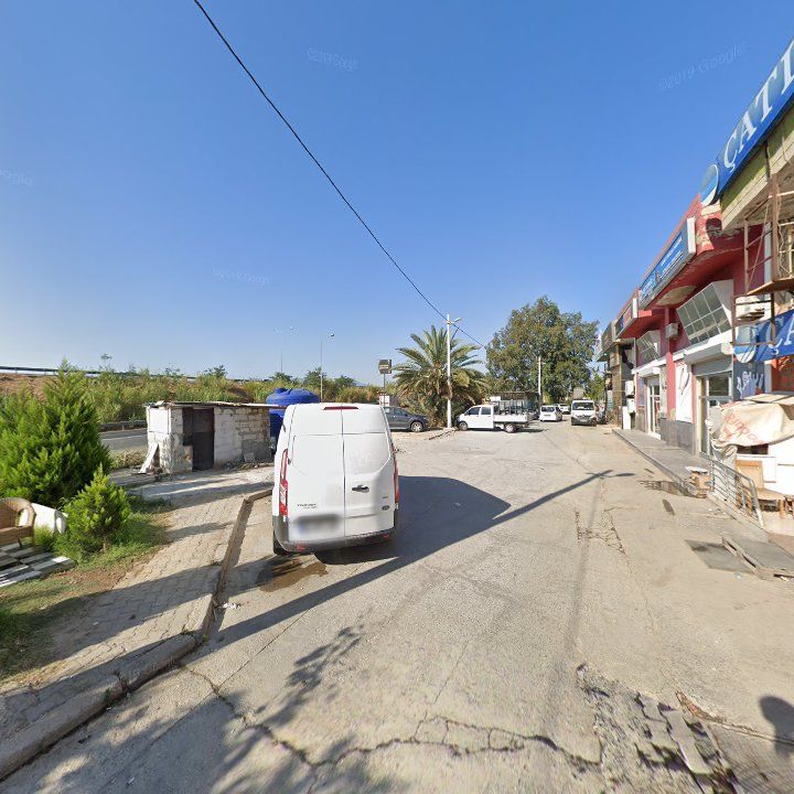 Fotoğraf 6