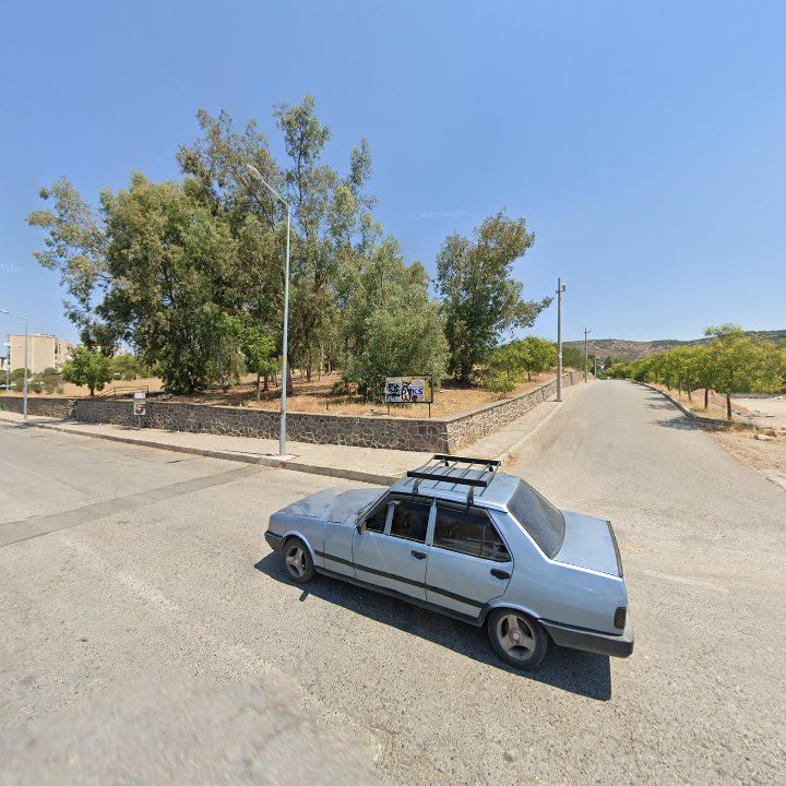 Fotoğraf 6
