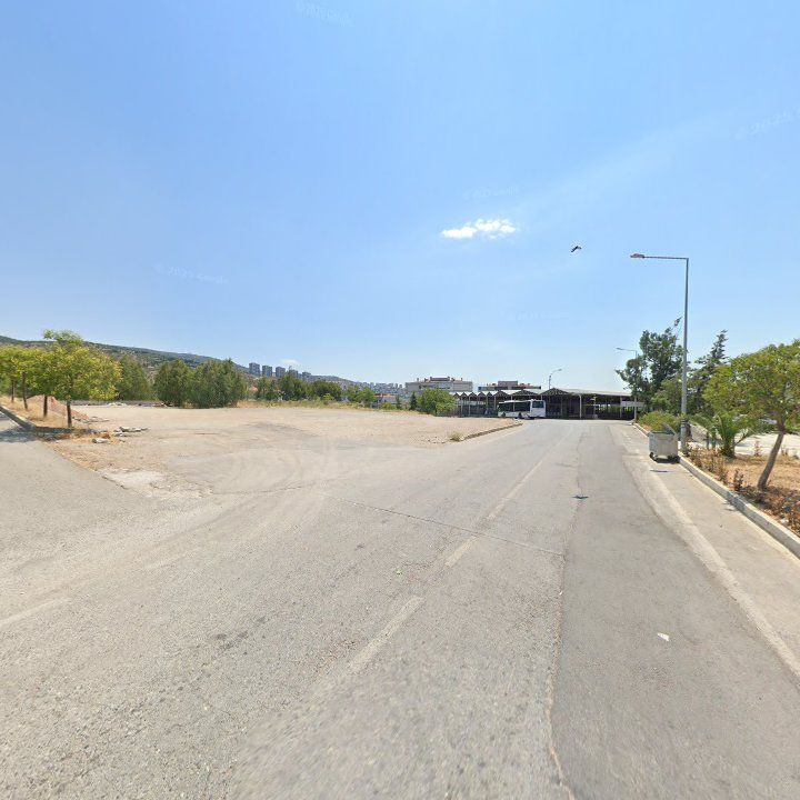 Fotoğraf 7