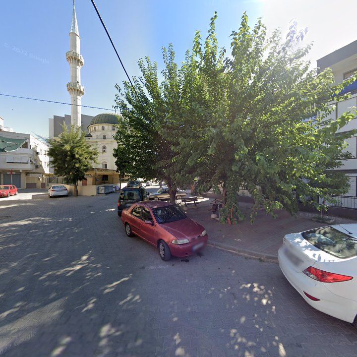 Fotoğraf 6