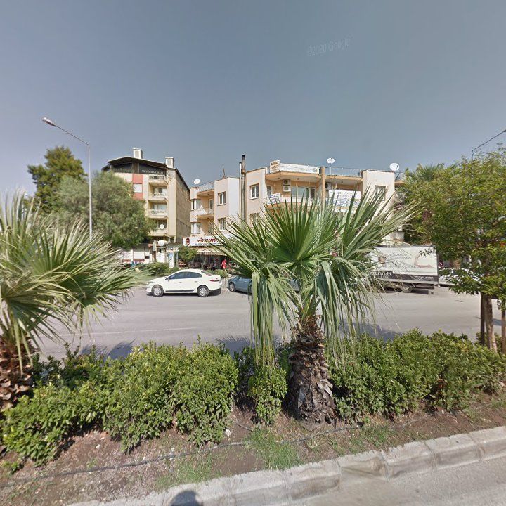 Fotoğraf 8