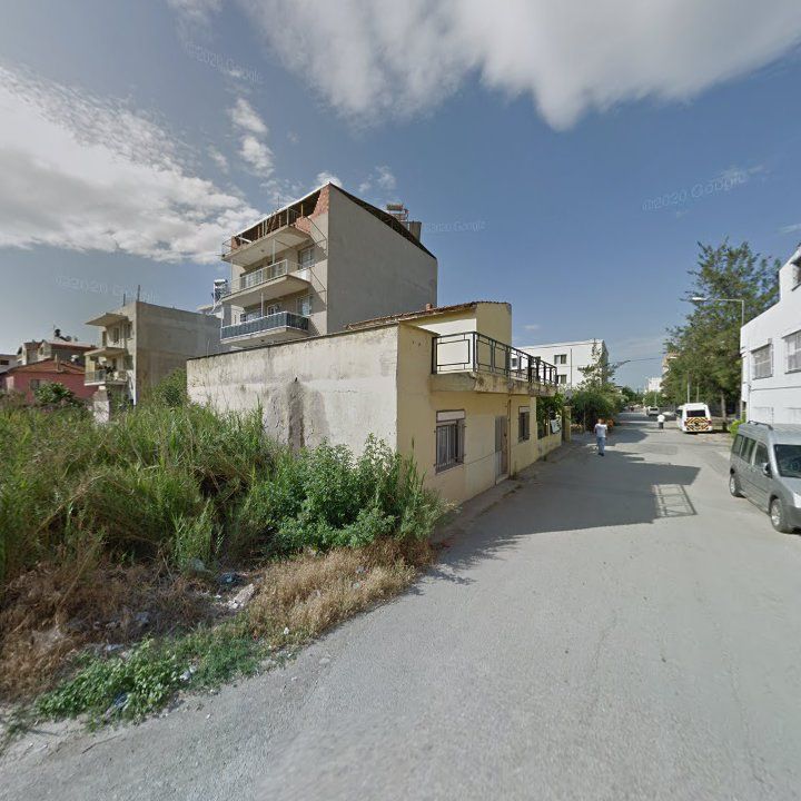 Fotoğraf 6