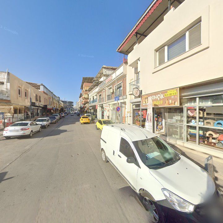 Fotoğraf 5