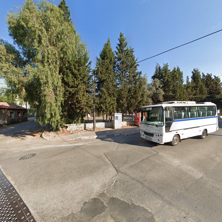 Fotoğraf 10