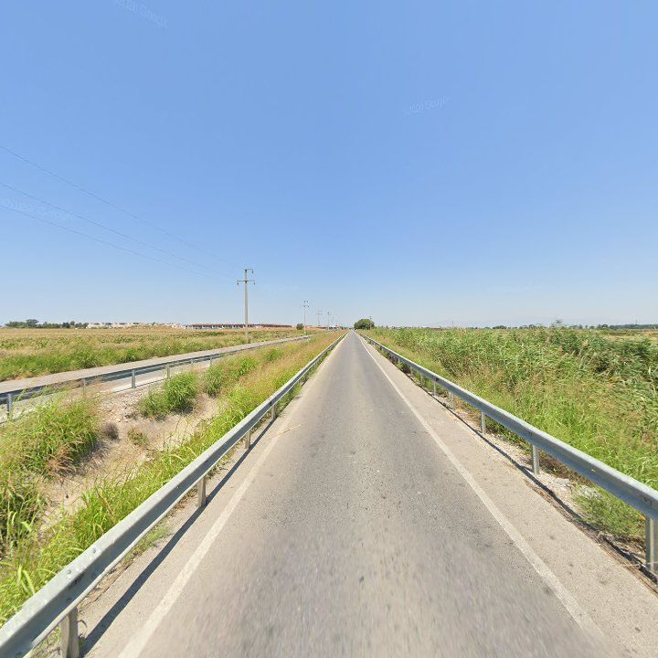 Fotoğraf 13
