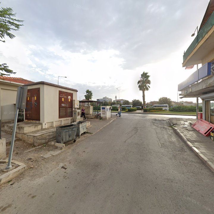 Fotoğraf 9