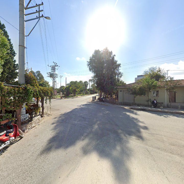 Fotoğraf 5