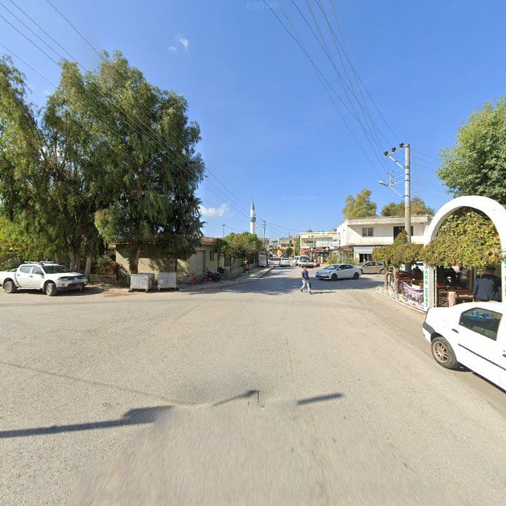 Fotoğraf 6