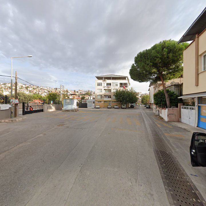 Fotoğraf 7