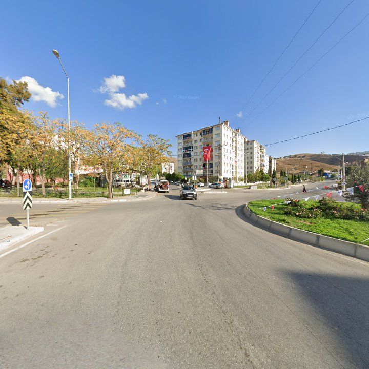 Fotoğraf 8