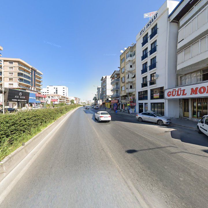 Fotoğraf 10