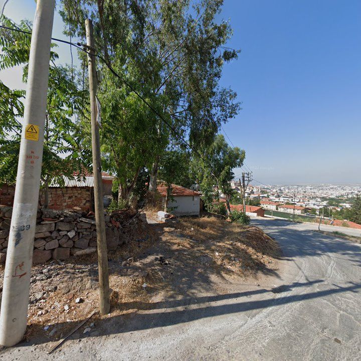 Fotoğraf 10