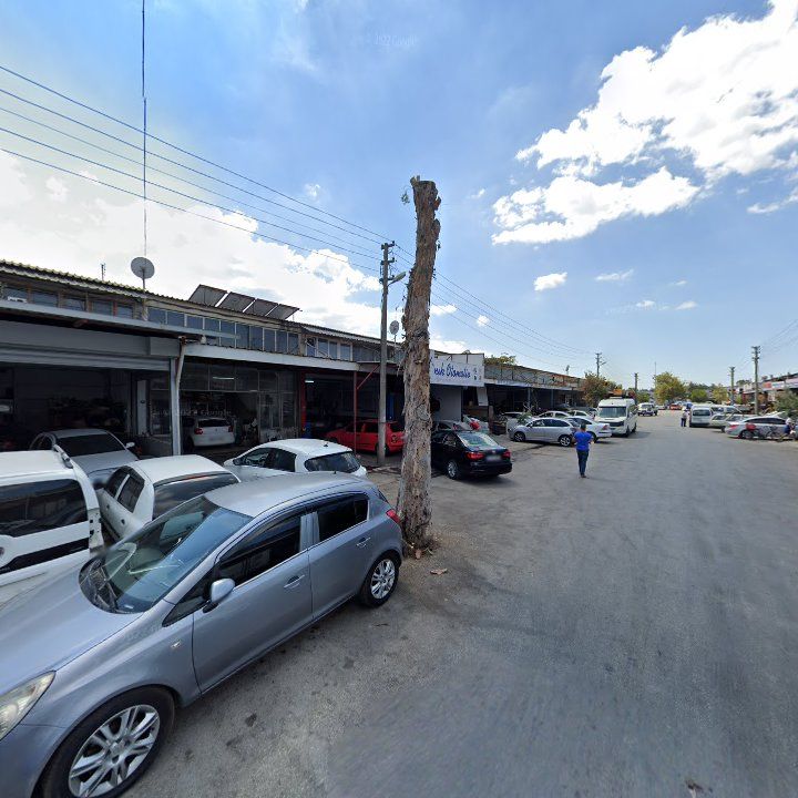 Fotoğraf 7