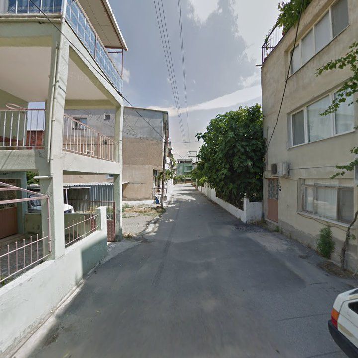 Fotoğraf 7