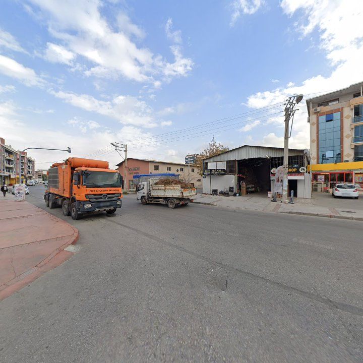 Fotoğraf 7
