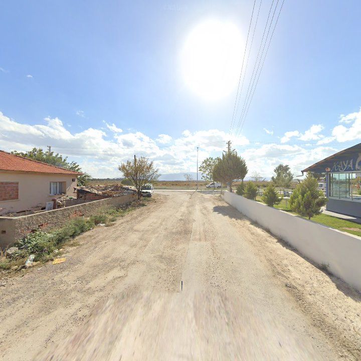 Fotoğraf 8