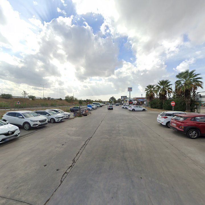 Fotoğraf 7