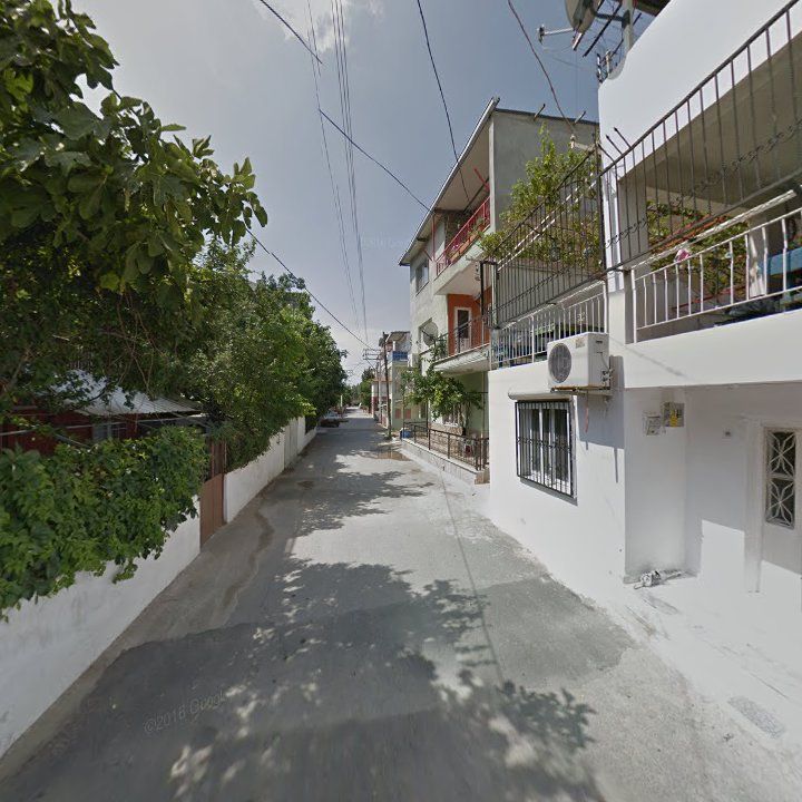 Fotoğraf 9