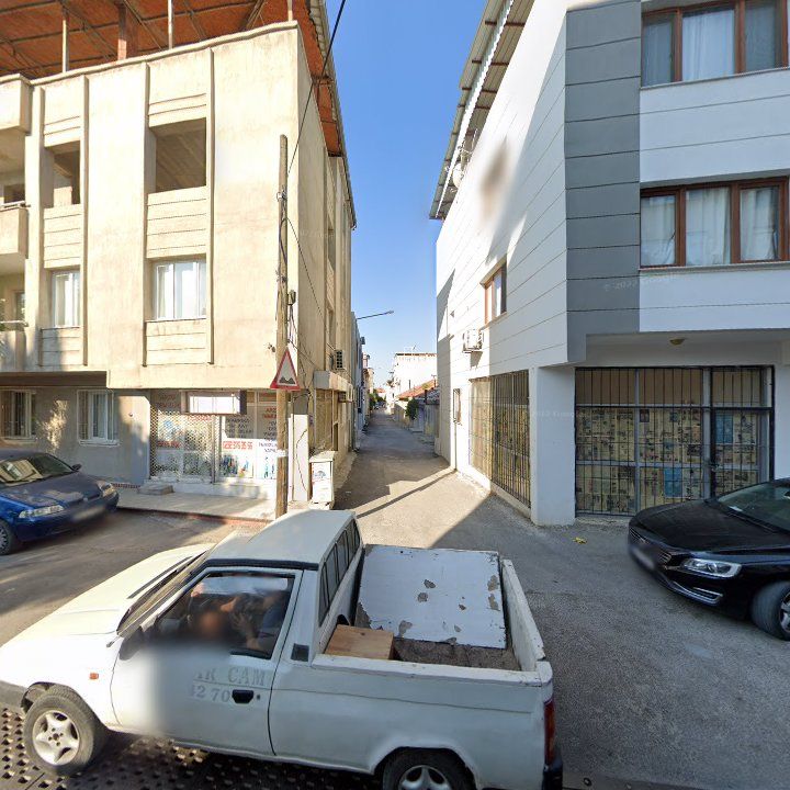 Fotoğraf 4