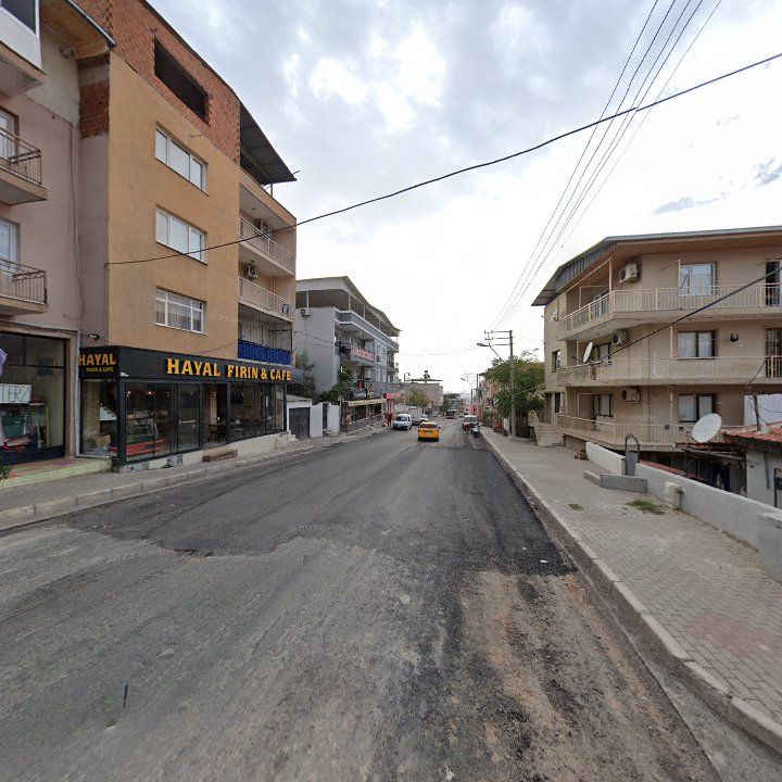 Fotoğraf 9