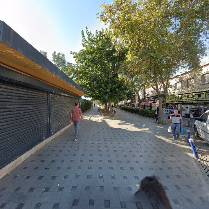 Fotoğraf 5