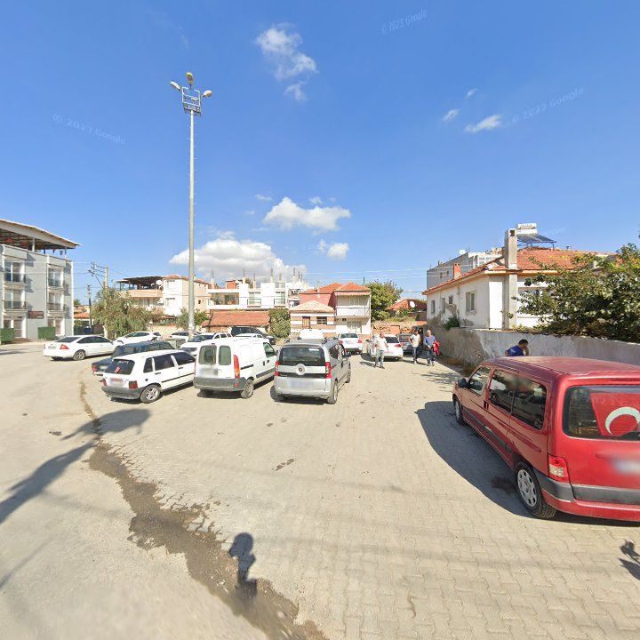 Fotoğraf 7