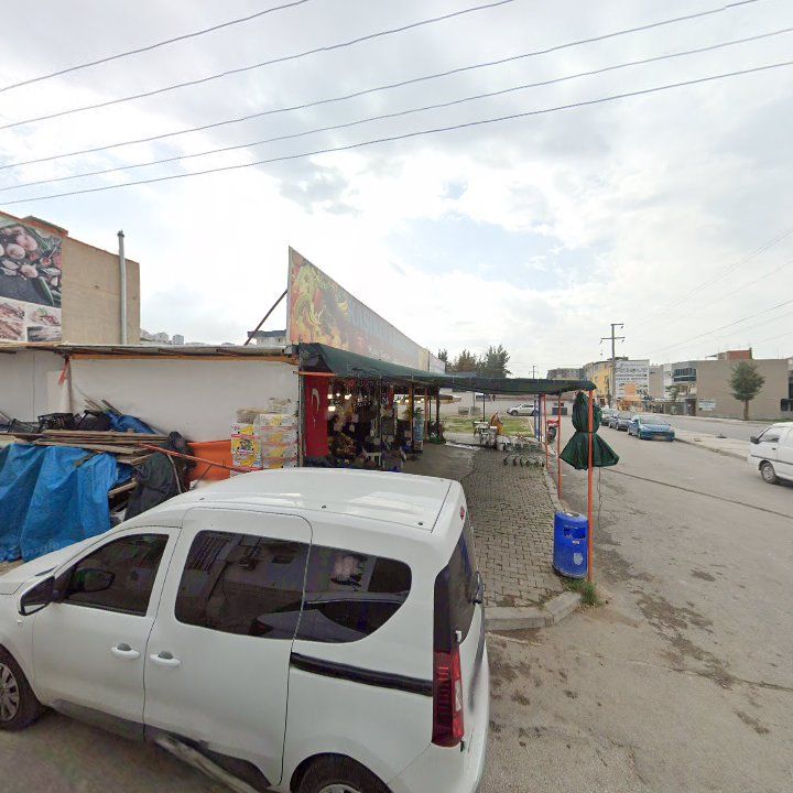 Fotoğraf 7