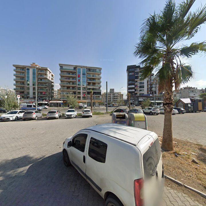 Fotoğraf 10