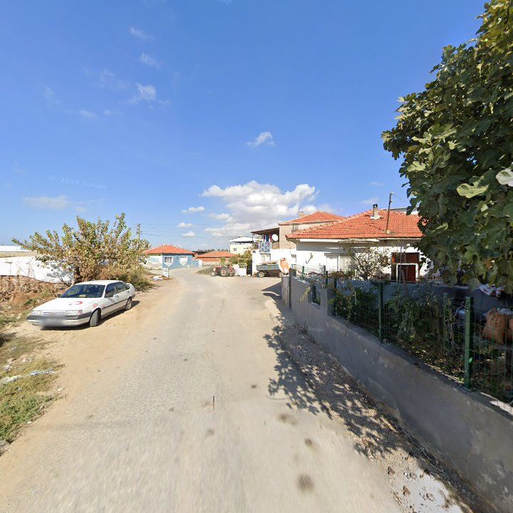 Fotoğraf 6