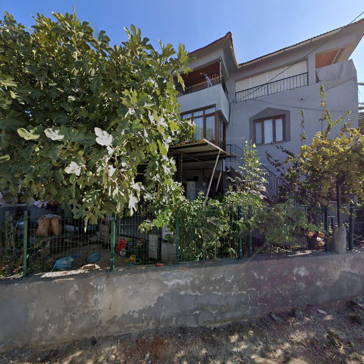 Fotoğraf 7