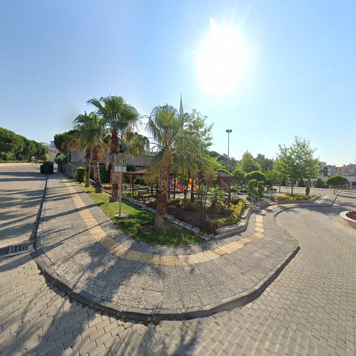 Fotoğraf 10