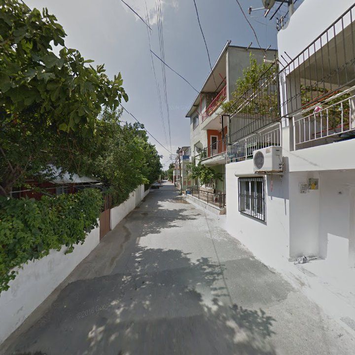 Fotoğraf 10