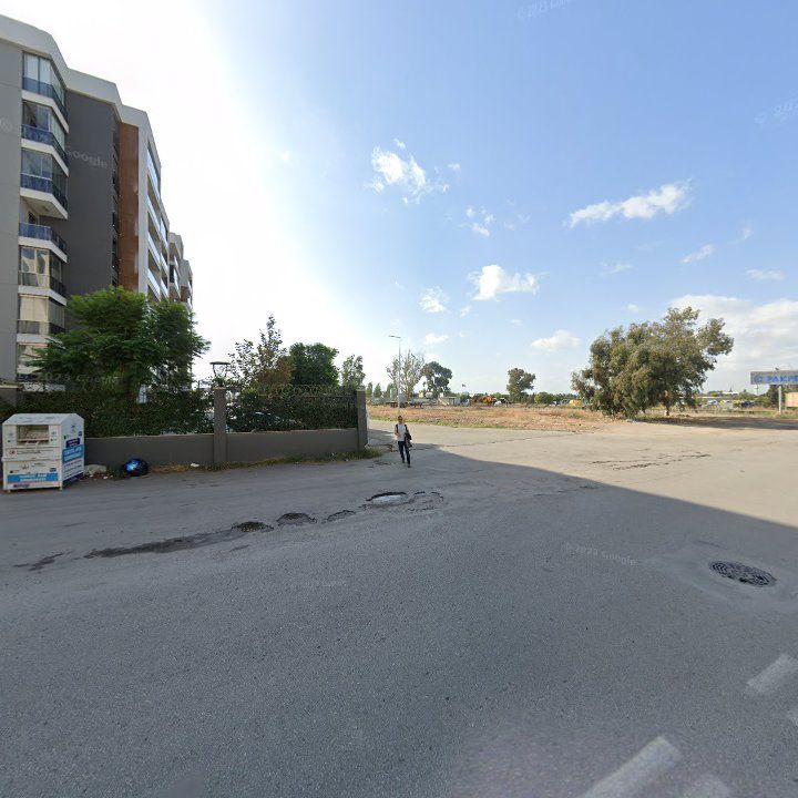 Fotoğraf 11