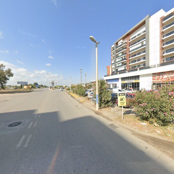 Fotoğraf 12