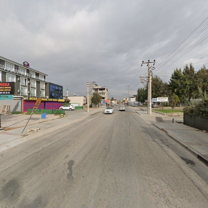 Fotoğraf 8
