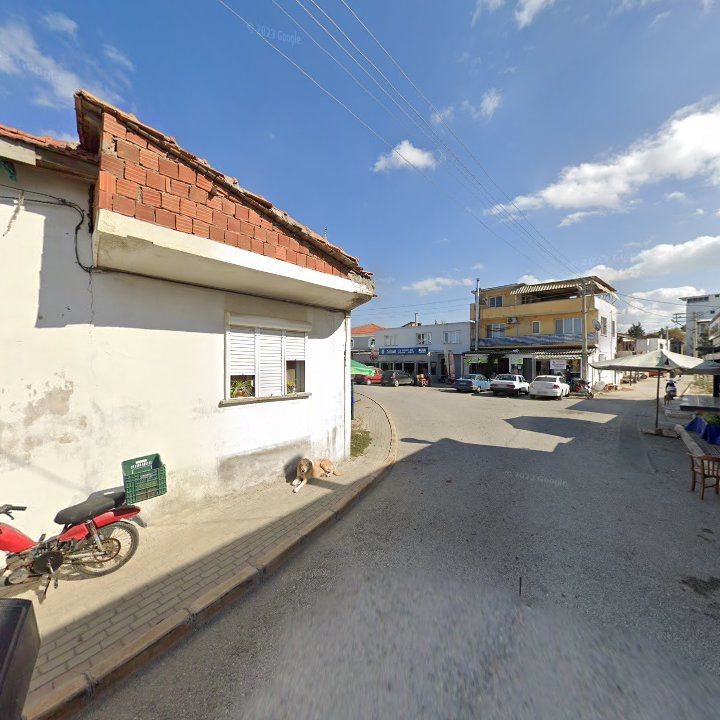 Fotoğraf 9