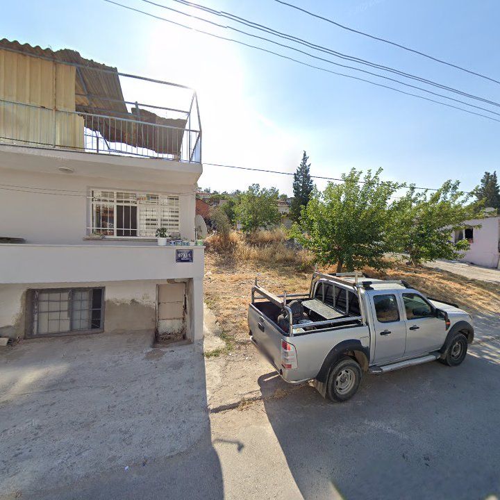 Fotoğraf 9