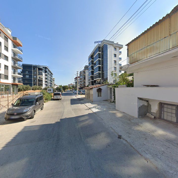Fotoğraf 8
