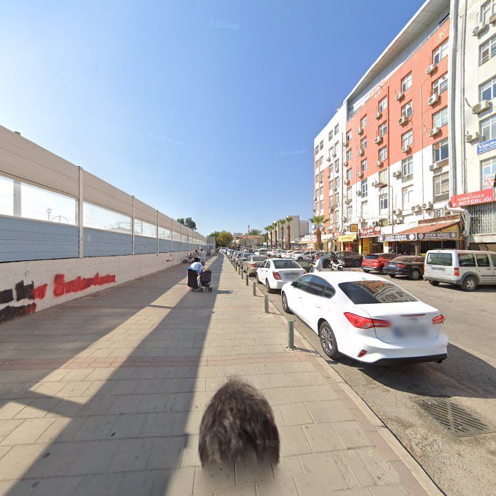 Fotoğraf 8