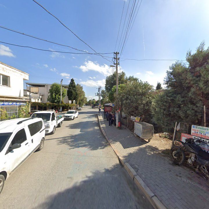 Fotoğraf 9