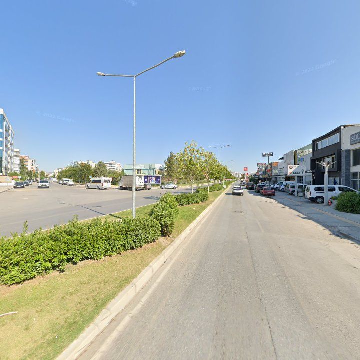 Fotoğraf 11