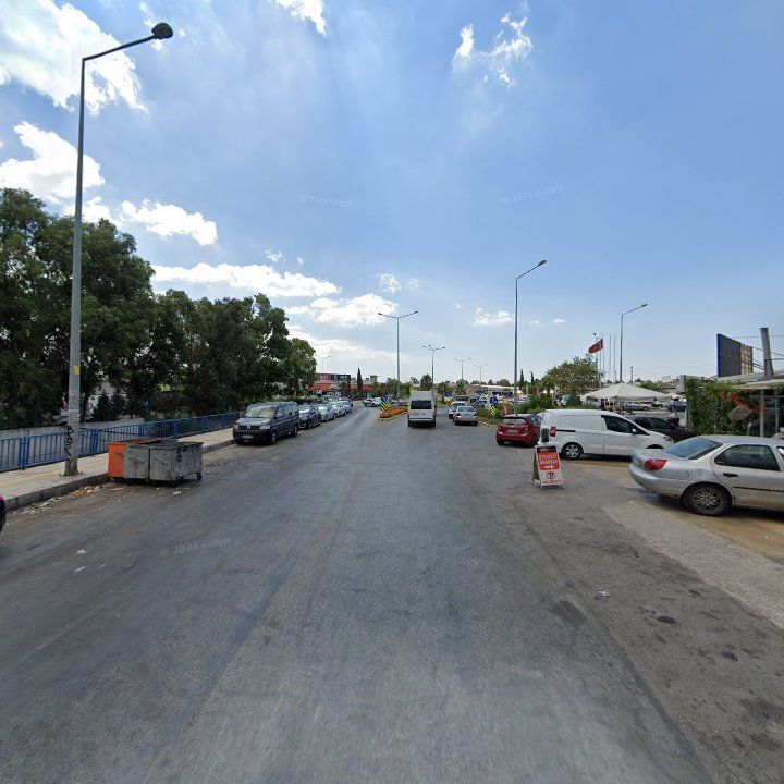 Fotoğraf 10