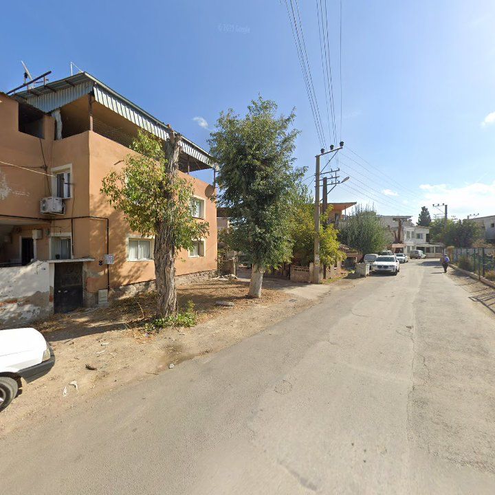 Fotoğraf 8