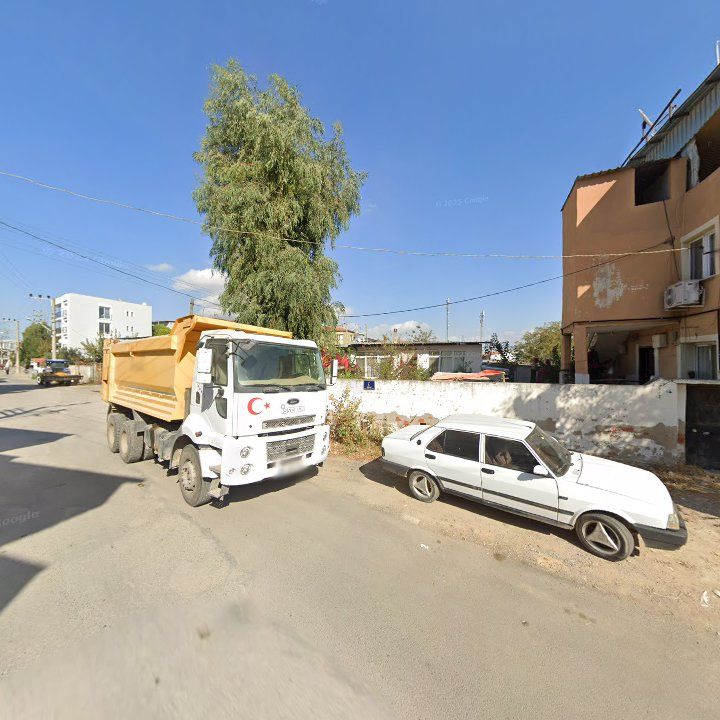 Fotoğraf 7