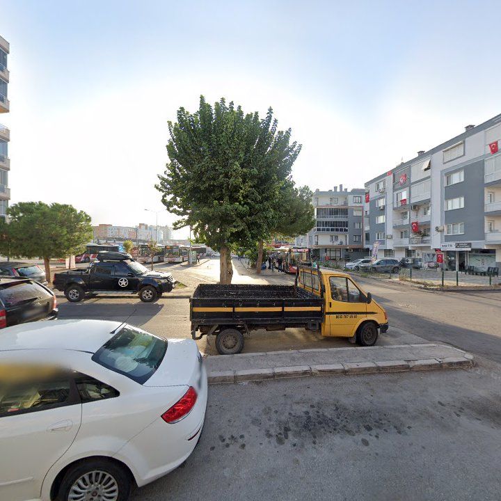 Fotoğraf 10