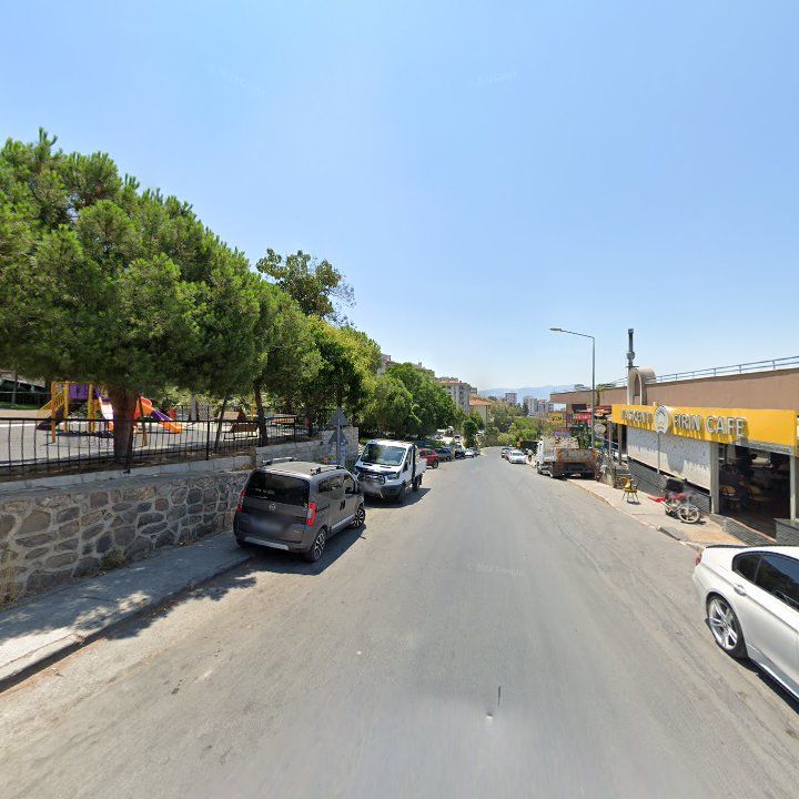 Fotoğraf 11